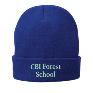 PA Fleece Lined Knit Athletic Royal Beanie